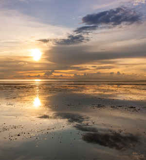 Landschaps fotografie