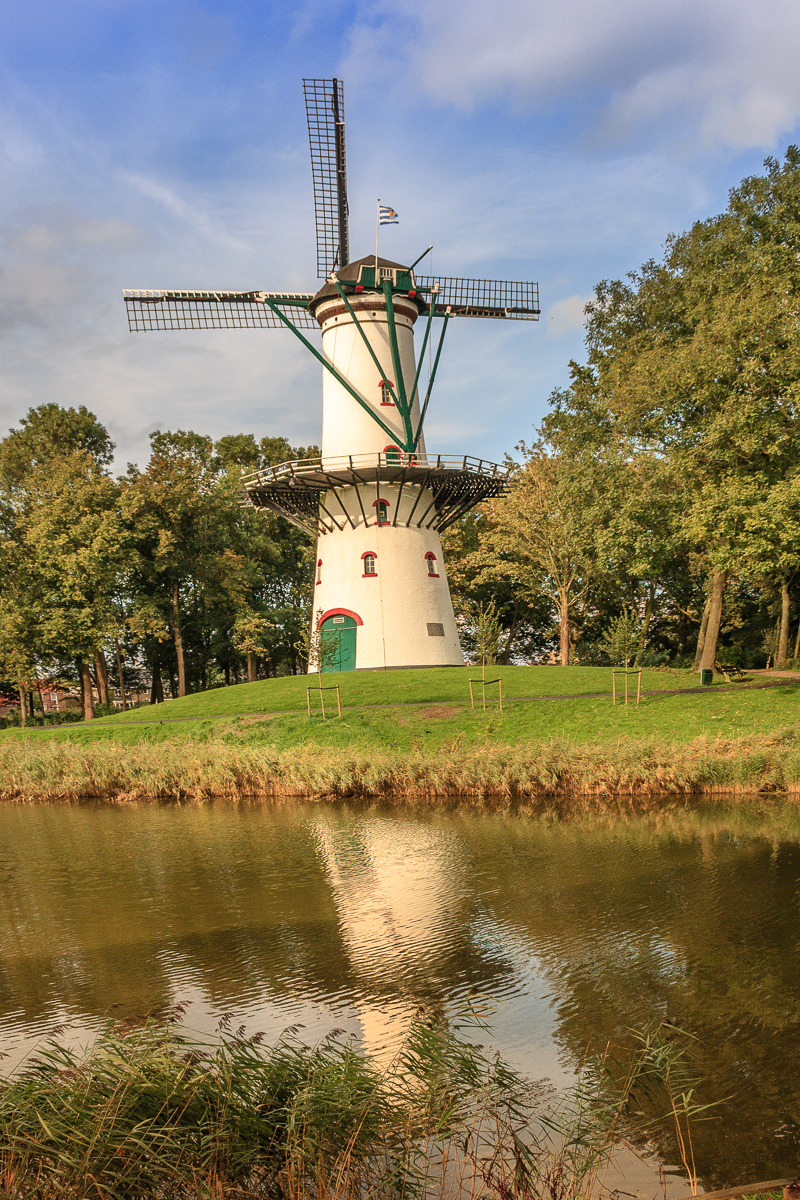 Molen De Hoop in Tholen