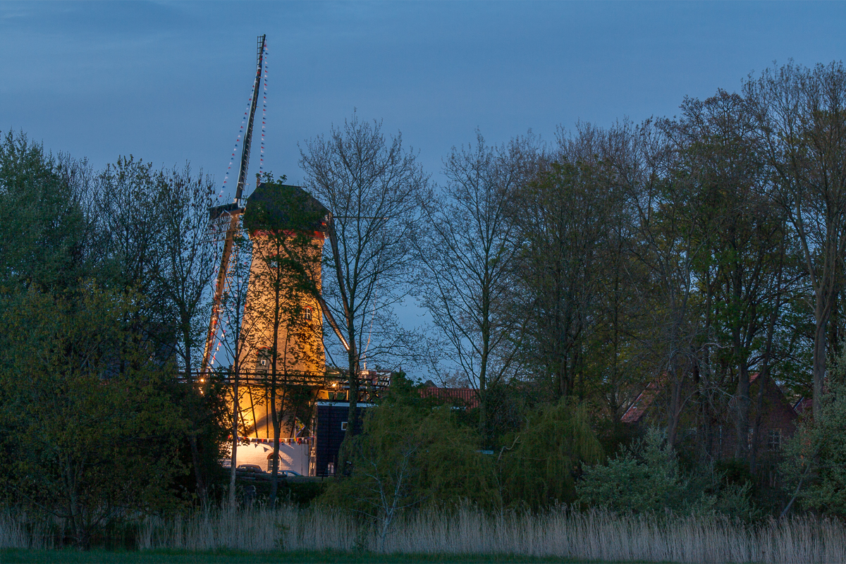 Molen De Verwachting in Tholen